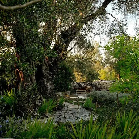 Villa Akeso *
