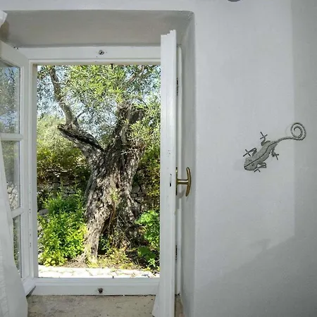 Villa Akeso Longós